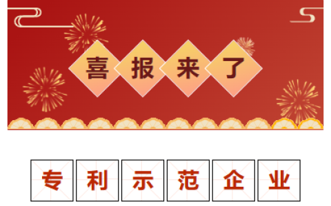 喜報！金華市專利示範企業（yè）！